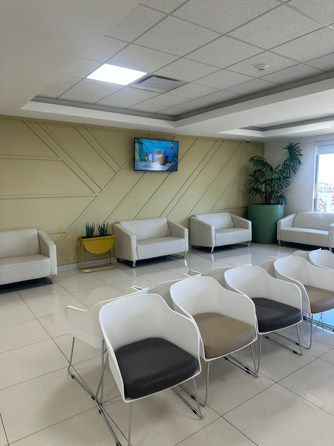 Sala de espera del consultorio con luz natural, sillas blancas modernas y plantas.